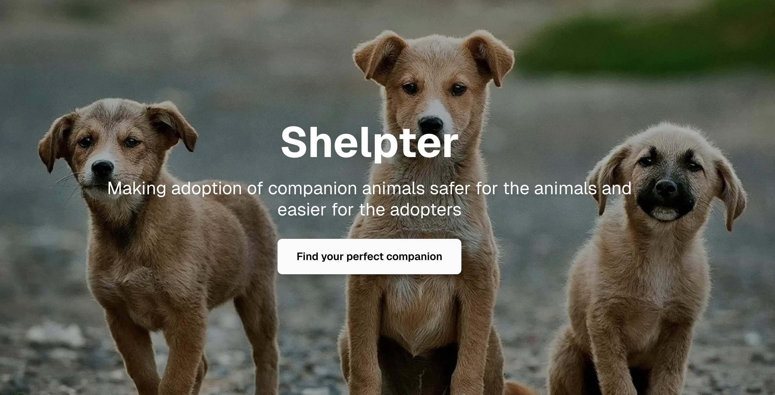 Shelpter